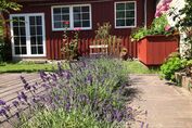 Ihre Terrasse im Innenhof