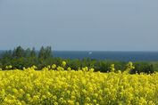 Mecklenburgische Ostseeküste