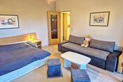 Wohnzimmer/Schlafzimmer