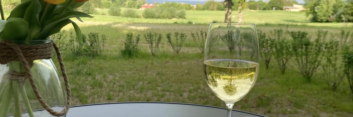 Ostsee-Panorama No. 4 - Aurora Vista - ABC568 - nur Feriengäste!