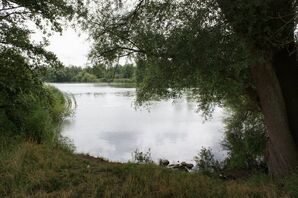 der Jungfernteich