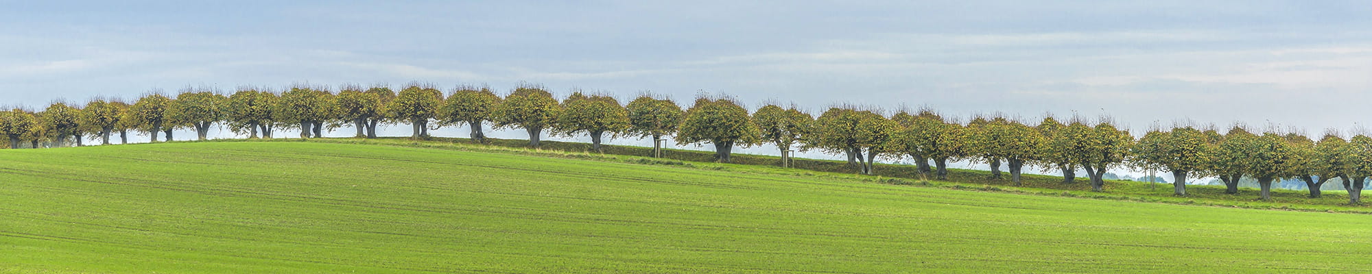 Urlaub Grundshagen